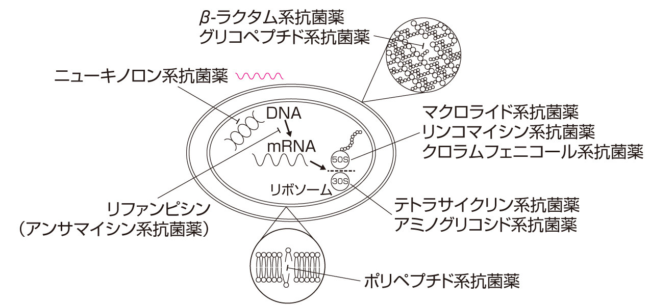 永末書店-書籍正誤表