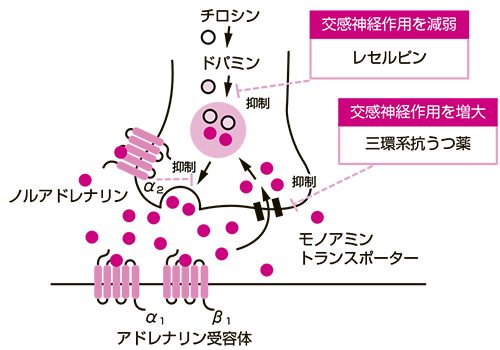 永末書店-書籍正誤表